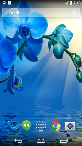 Blue Orchid Live Wallpaper