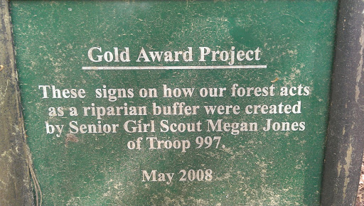 Gold Award Project