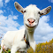 astuce Crazy Goat FREE jeux