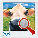 Find It ™ MEGA PACK (no ads) logo