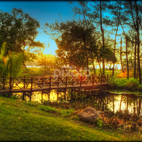 by Marc James - Landscapes Prairies, Meadows & Fields