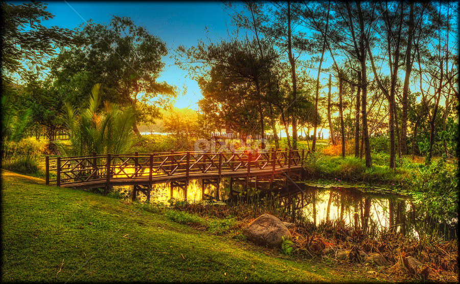 by Marc James - Landscapes Prairies, Meadows & Fields