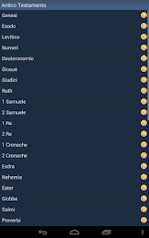 Italian Holy Bible poster 12