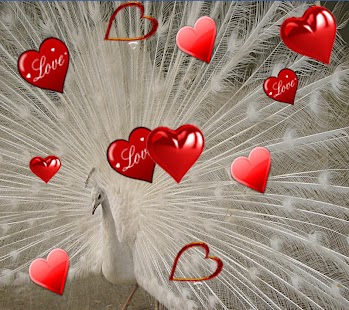 How to mod Love Touch Live Wallpaper patch 5.5 apk for laptop