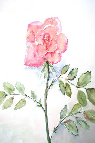 【免費教育App】How to Draw a Rose-APP點子