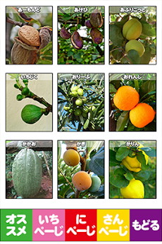 世界のくだもの図鑑 子供向け Androidアプリ Applion
