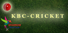 Q - CRICKET in KBC Style APK