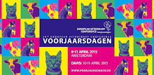 2015 EVC Voorjaarsdagen APK