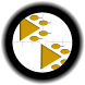 Shape Safari Pro