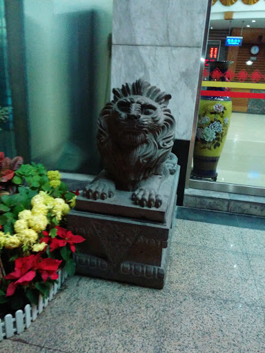 Lion of Yiyun