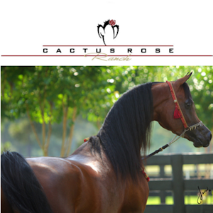 Cactus Rose Ranch 1.3