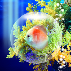 Coral Fish.apk 1.0