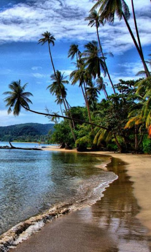 免費娛樂App|300 Amazing Beach Pictures HD|阿達玩APP