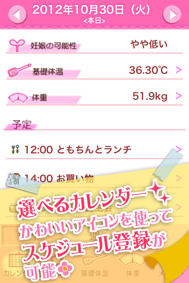 Womans DIARY Screen 2