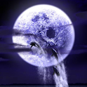 Dolphin Fullmoon logo