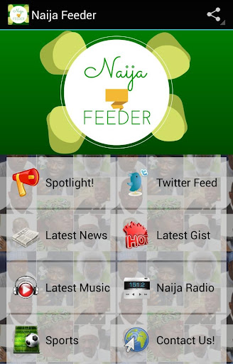Naija Feeder: Nigeria News