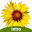 Flora of Yellowstone Intro Download on Windows