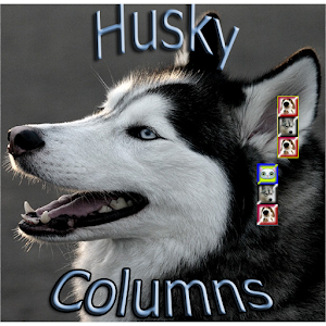 Exciting Husky columns.apk 1.1.1