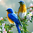 Singing Birds Live Wallapaper mobile app icon