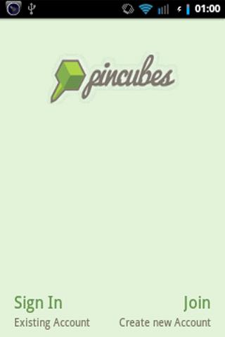 Pincubes