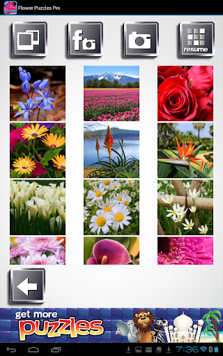 免費下載攝影APP|Flower Puzzles - FREE Game app開箱文|APP開箱王