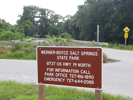 Werner-Boyce Salt Springs State Park
