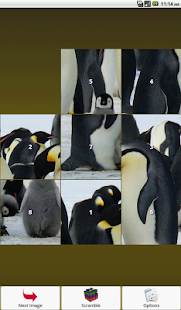 Penguin Puzzle Screenshots 6
