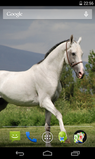 Flag of Turkmenistan - náhled