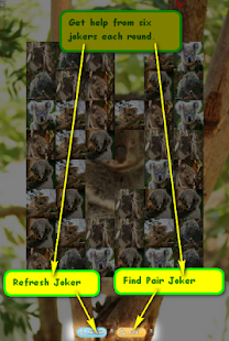 How to install Free Fun Koala Game for Kids patch 1 apk for laptop