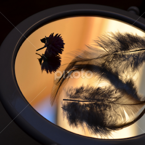 Yin & Yang and the Flower by Rumiana Doncheva - Artistic Objects Still Life