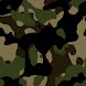 FM 20-3 CAMOUFLAGE