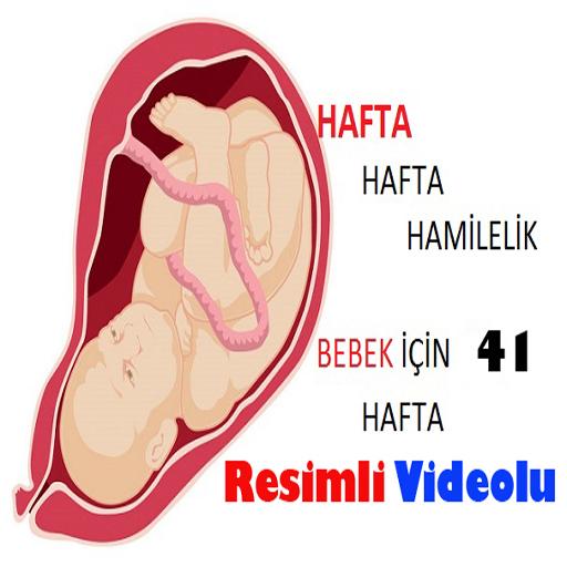 Hafta Hafta Gebelik Hamilelik