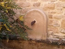 Vieille Fontaine