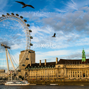 The London Eye by Trevor Fairbank - Buildings & Architecture Public & Historical