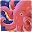 Marine Life Trivia Download on Windows