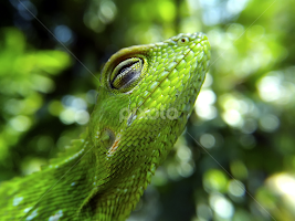 Ooo yeah by Hendrata Yoga Surya -  