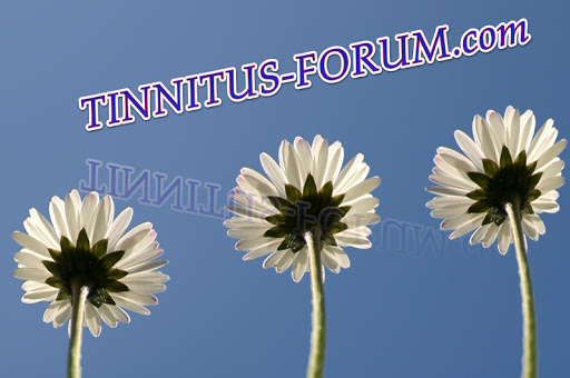 Tinnitus Forum - Community