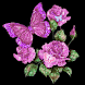 Amazing Pink Roses Live wallp