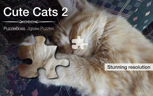 More Cute Cat Jigsaw Puzzles