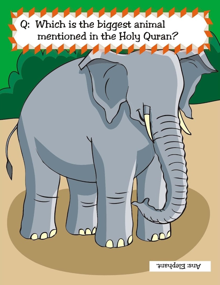 Islamic Quiz Series Book 3 Screen 2