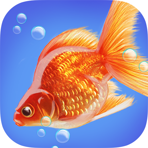 Goldfish Fun 3D 街機 App LOGO-APP開箱王