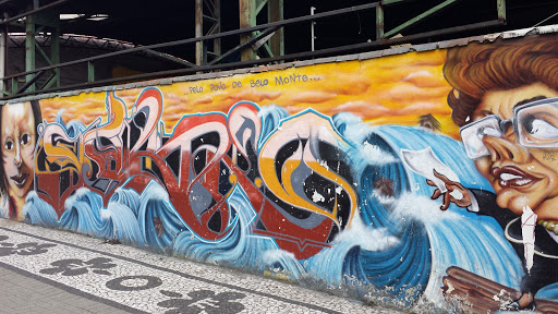 Curitiba Street Art