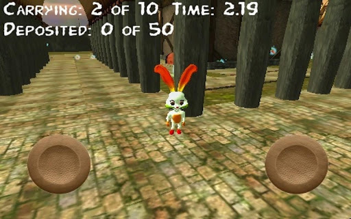 在島上的兔子 - 3D遊戲