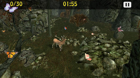 Butterflies Catch Craze 3D poster 1