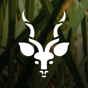 Saint Louis Zoo.apk 5.2.000