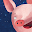 Two Piglets Download on Windows