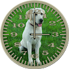 Dog 3 Labrador Analog Clock