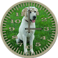 Dog 3 Labrador Analog Clock Apk