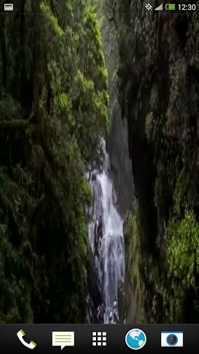 Forest waterfall