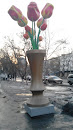Тюльпаны на Абая Уалиханова